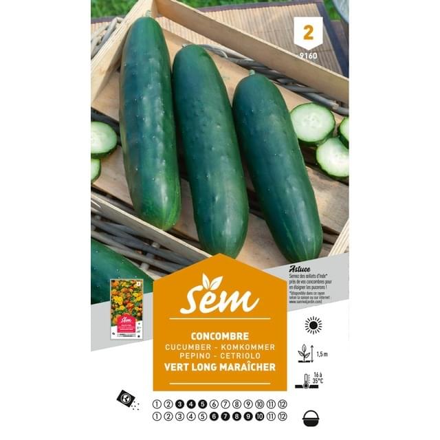 Concombre vert long Maraîcher (sachet)