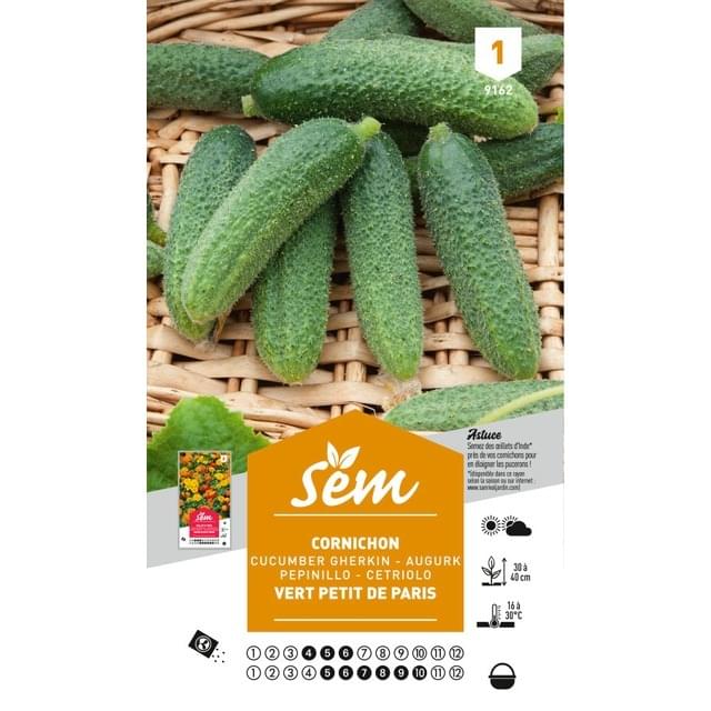 Cornichon vert Petit de Paris (sachet)