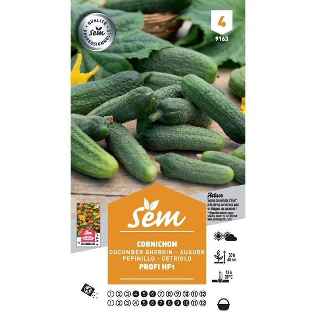 Cornichon Profi F1 (sachet)