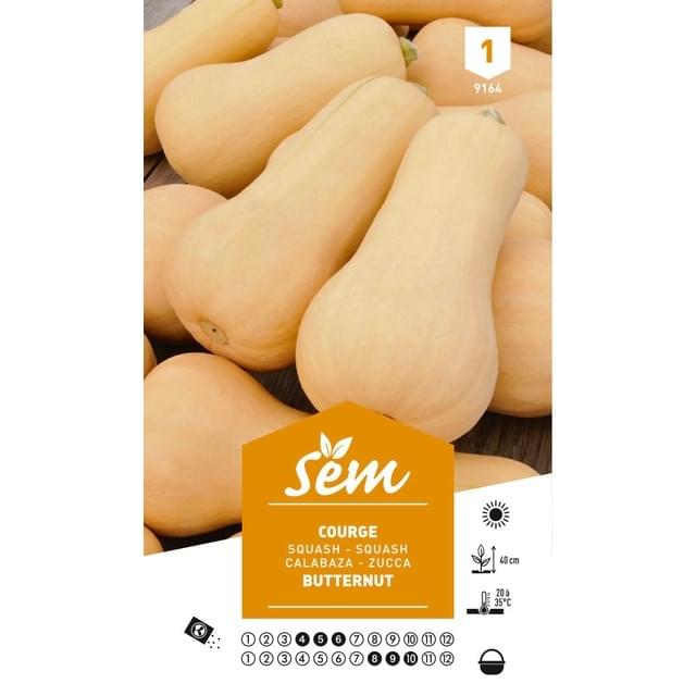 Courge Butternut (sachet)