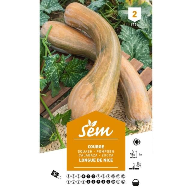 Courge longue de Nice (sachet)