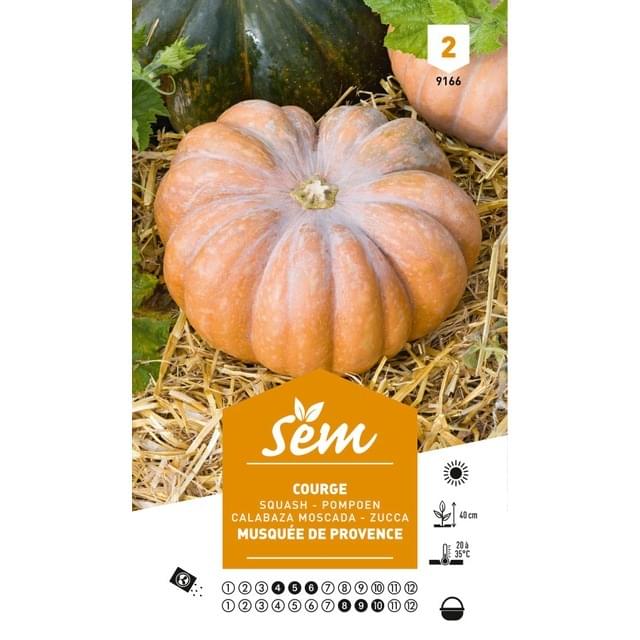 Courge musquée de Provence (sachet)