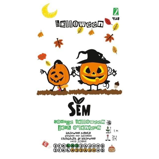 Courge Jack O'Lantern (Halloween) gamme Kid (sachet)