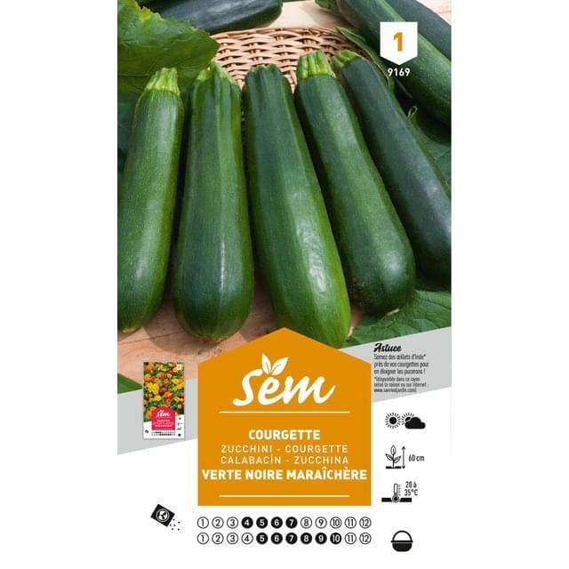 Courgette verte noire maraîchère (sachet)
