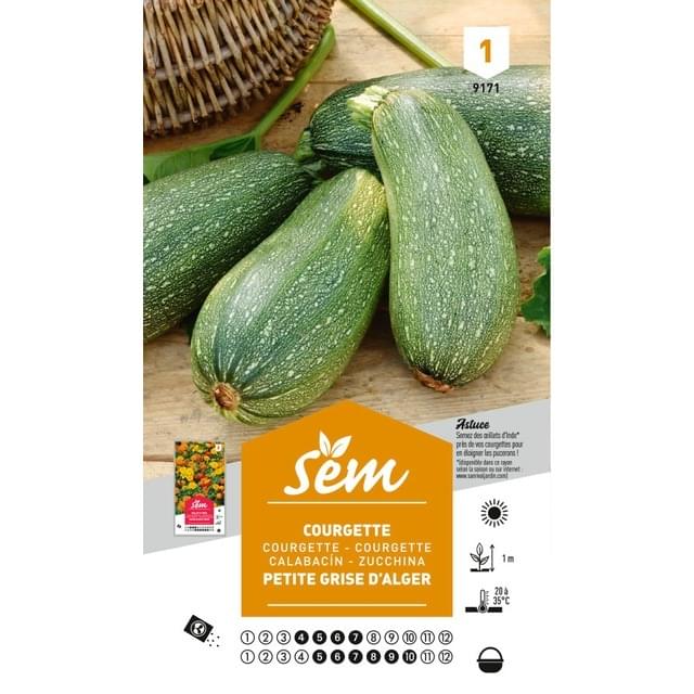 Courgette Petite grise d'Alger (sachet)