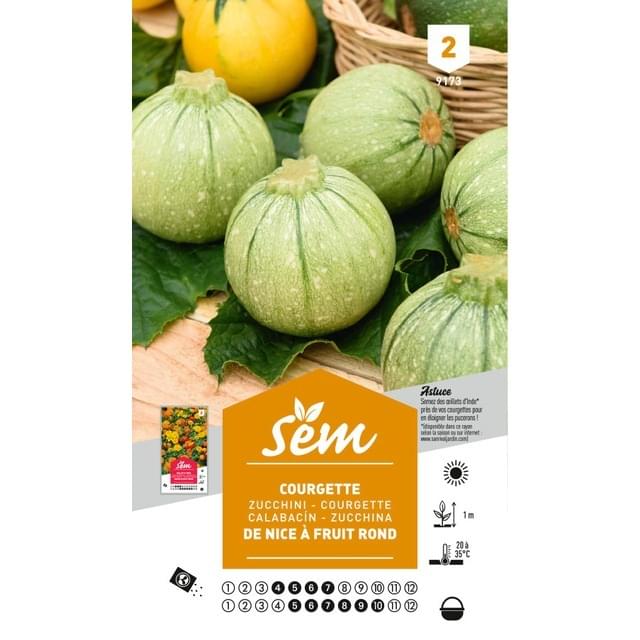 Courgette de Nice fruit rond (sachet)