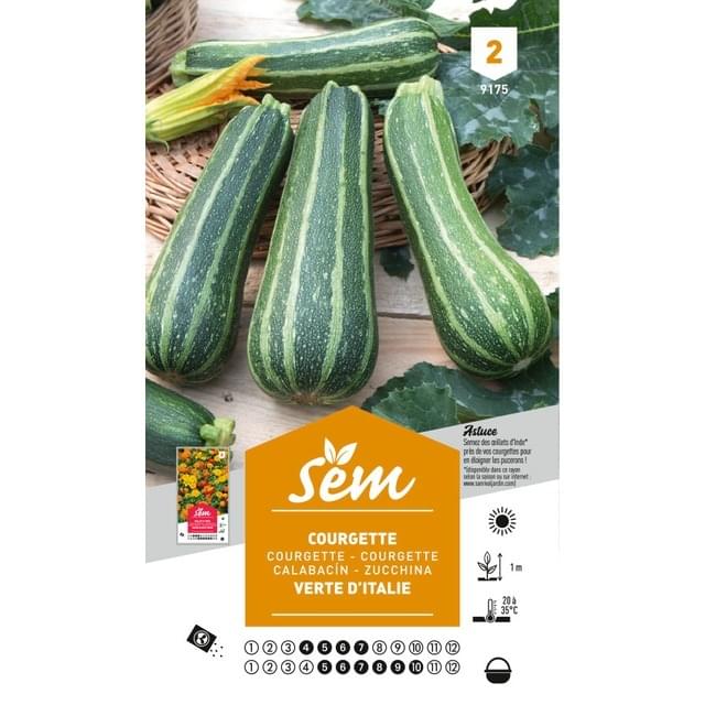 Courgette verte d'Italie (sachet)