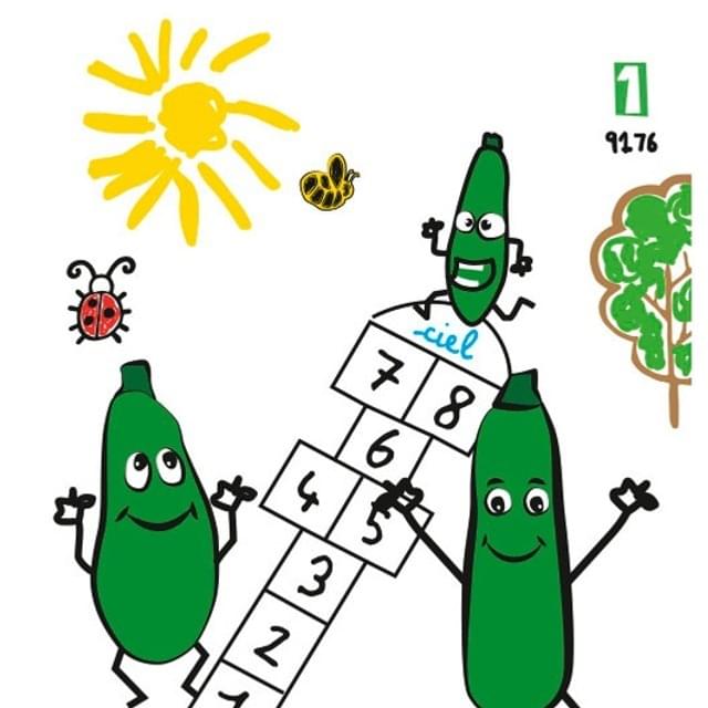 Courgette verte maraîchère