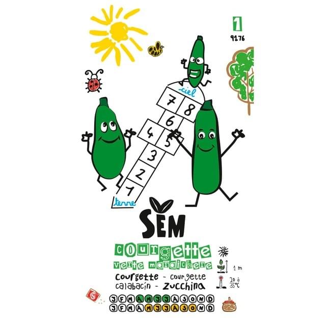Courgette verte maraîchère (sachet)
