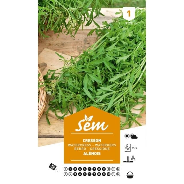 Cresson (sachet)