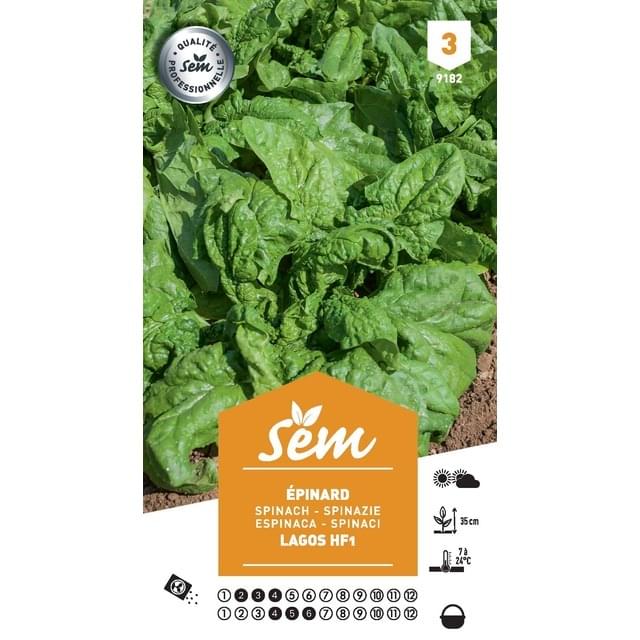 Epinard Lagos F1 (sachet)