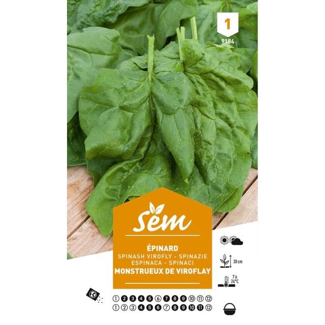 Epinard Monstrueux Viroflay (sachet)