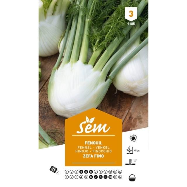 Fenouil Zefa Fino (sachet)
