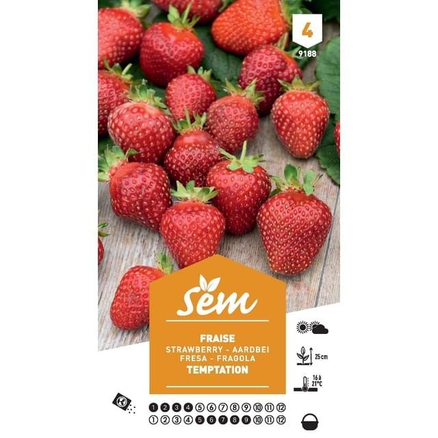 Fraise Temptation (sachet)