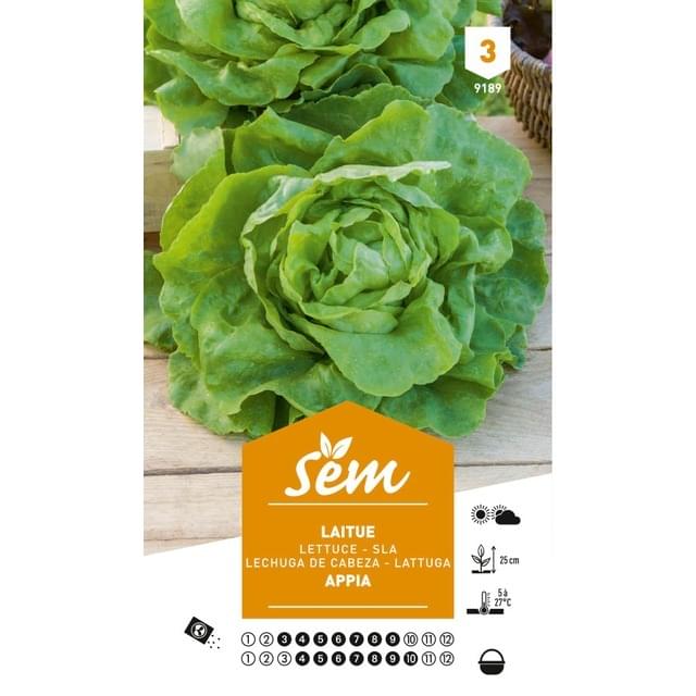 Laitue Appia (sachet)