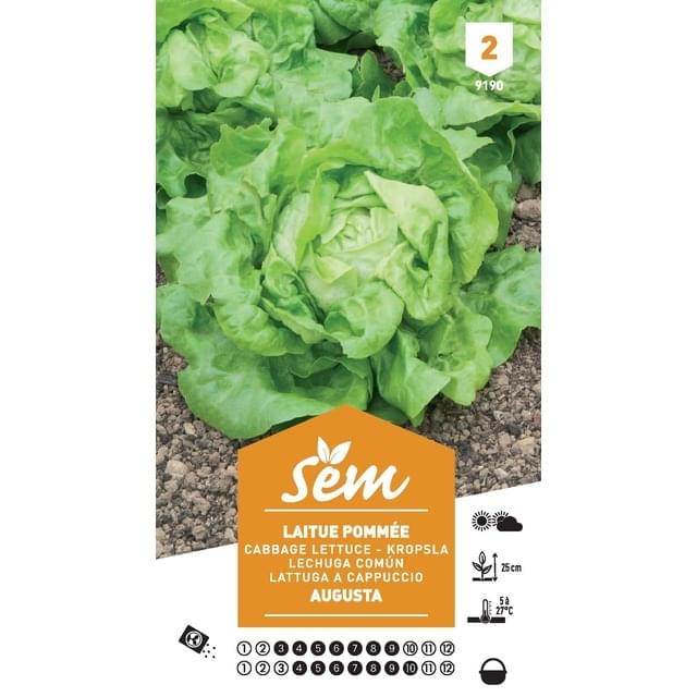 Laitue pommée Augusta (sachet)