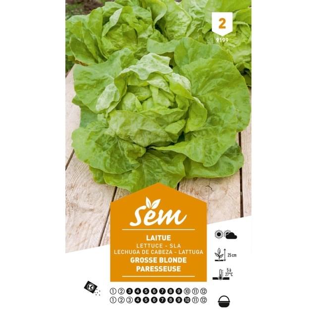 Laitue Grosse blonde paresseuse (sachet)