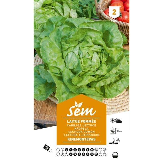 Laitue Kinemontepas (sachet)