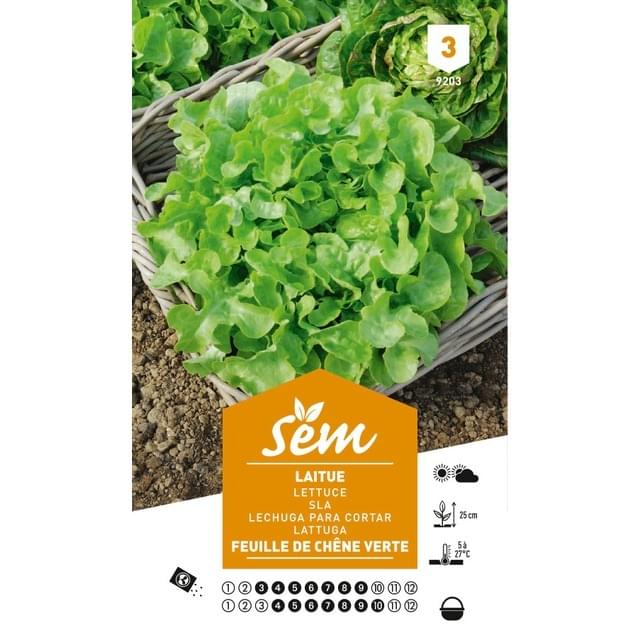 Laitue Feuille de Chêne (sachet)
