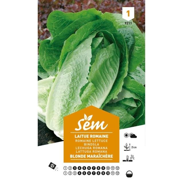 Laitue Romaine Blonde maraîchère (sachet)
