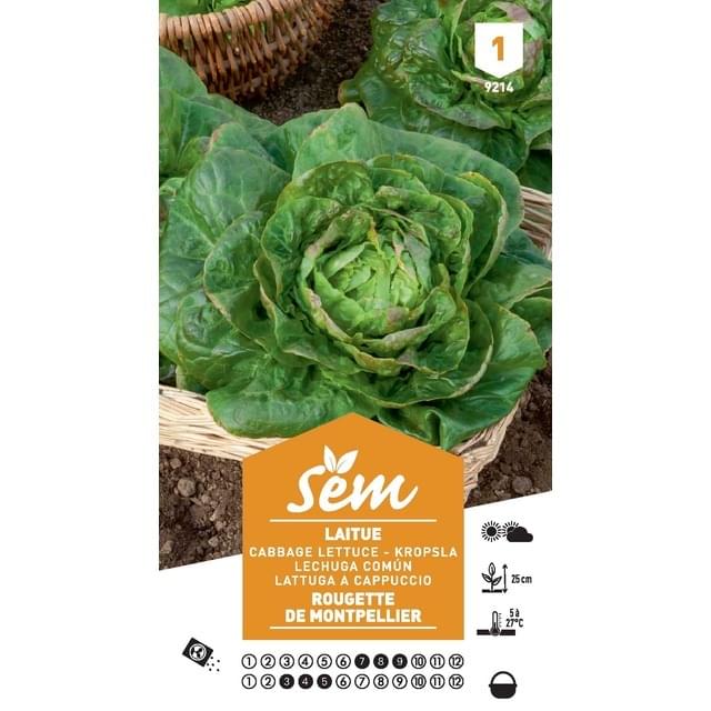 Laitue rougette de Montpellier (sachet)