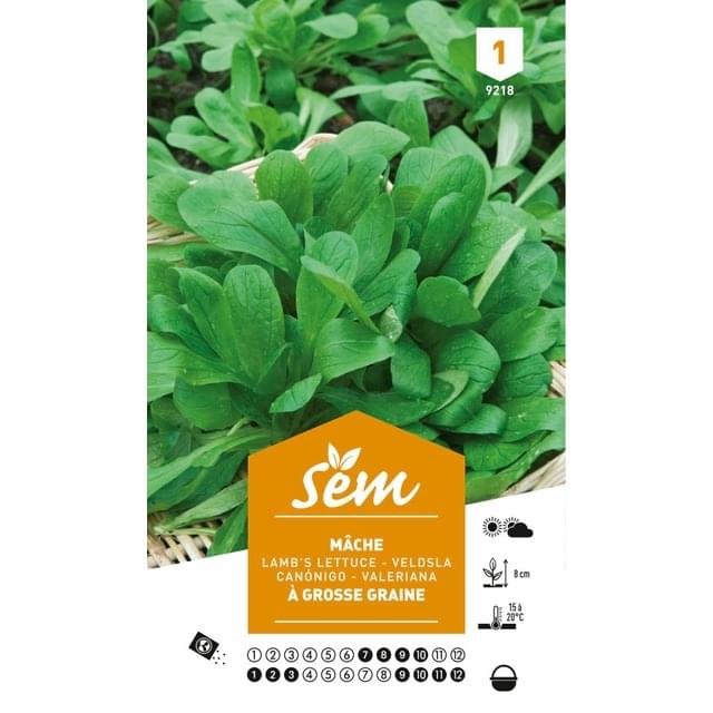 Mâche à grosse graine (sachet)