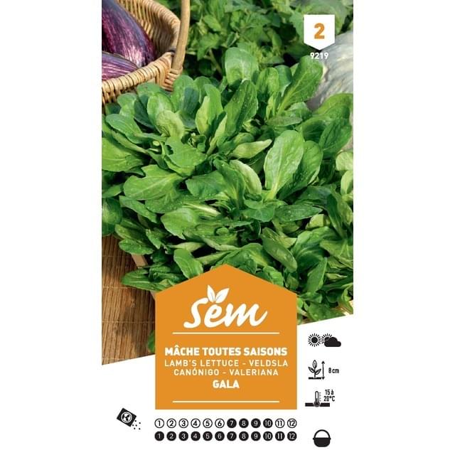 Mâche Gala (sachet)