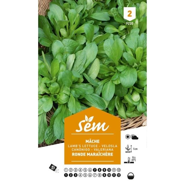 Mâche ronde maraîchère (sachet)