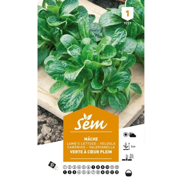 Mâche verte à coeur plein (sachet)