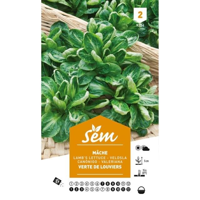 Mâche verte de Louviers (sachet)