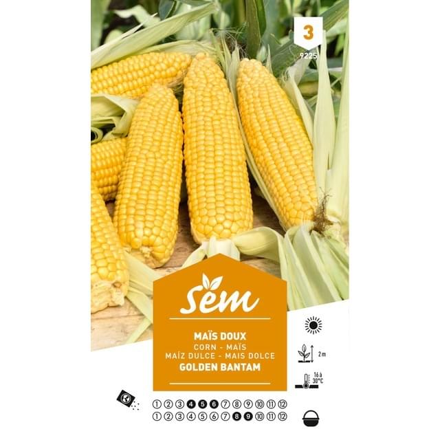 Maïs doux Golden Bantam (sachet)
