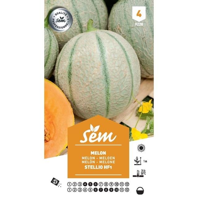 Melon Stellio F1 (sachet)