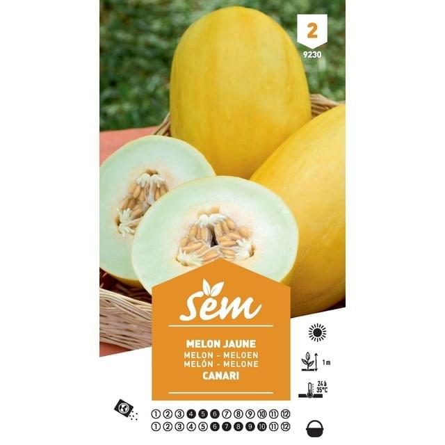 Melon Canari variété ancienne (sachet)
