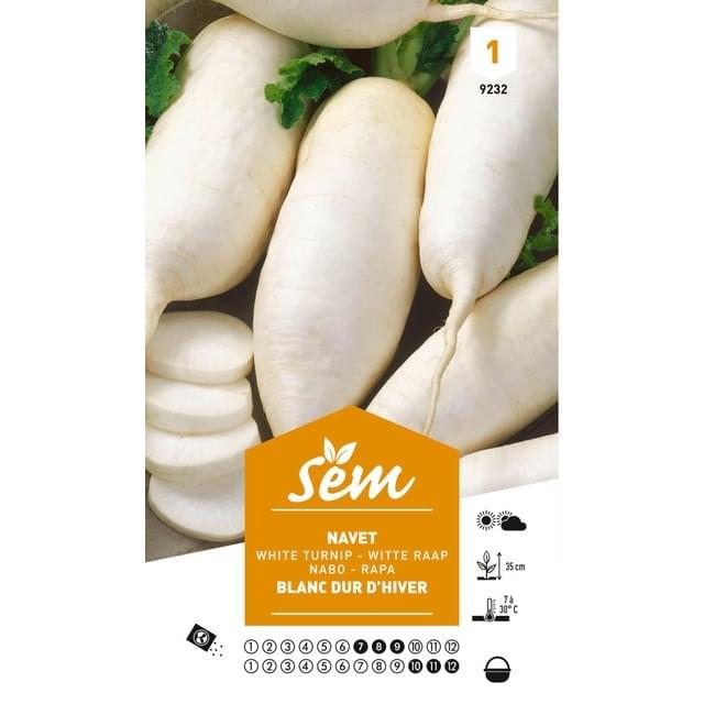 Navet blanc dur d’hiver (sachet)