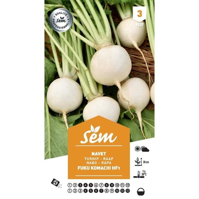 Navet blanc Fuku Komachi F1 (sachet)