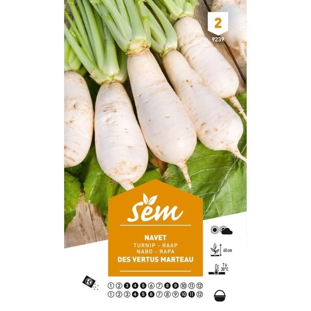 Navet vertus marteau (sachet)