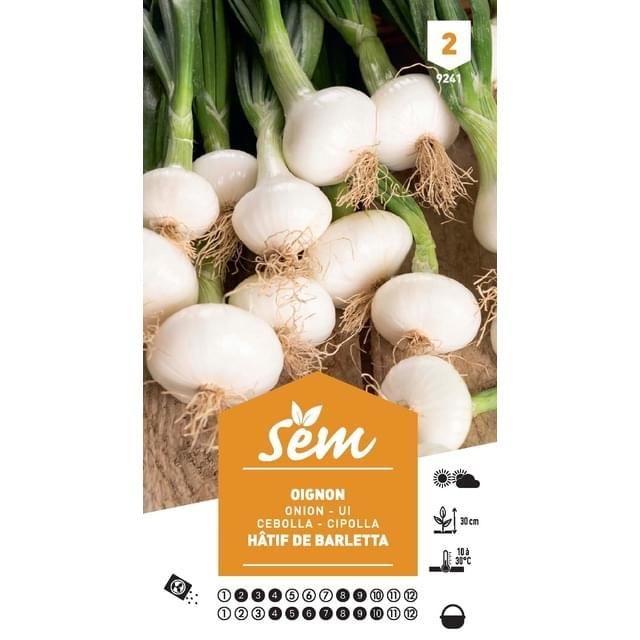 Oignon blanc hâtif de Barletta (sachet)