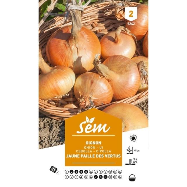 Oignon jaune paille des Vertus (sachet)
