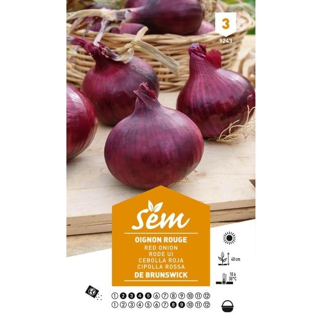 Oignon rouge de Brunswick (sachet)
