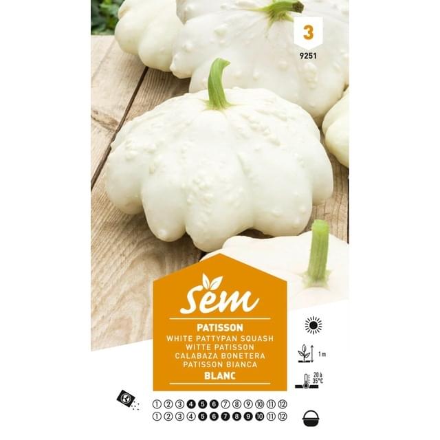 Patisson blanc (sachet)