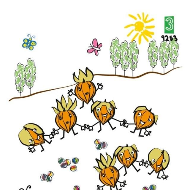 Physalis Cerise de terre gamme kids