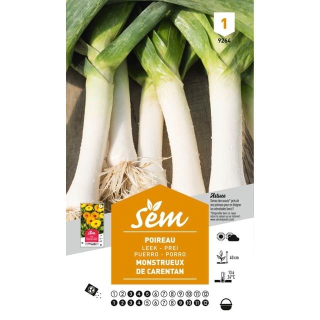Poireau monstrueux de Carentan (sachet)