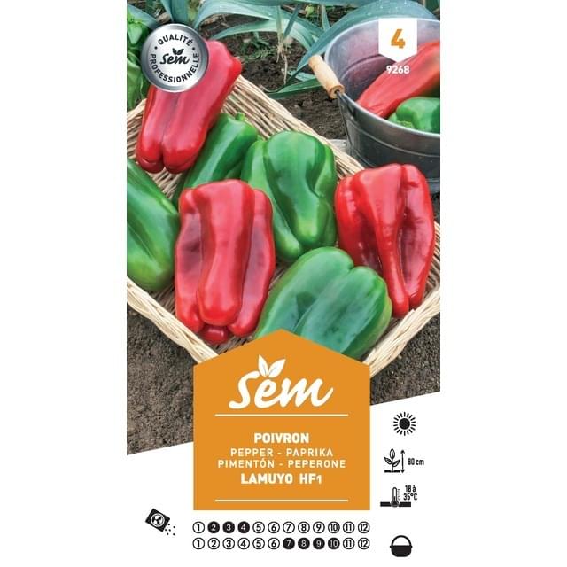 Poivron lamuyo f1 (sachet)