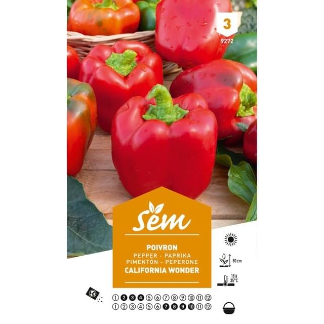 Poivron california wonder (sachet)