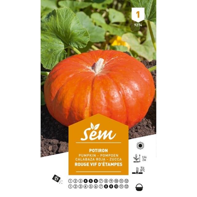 Potiron rouge d'Etampes (sachet)