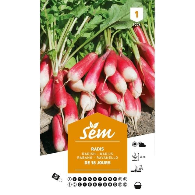 Radis de 18 jours (sachet)