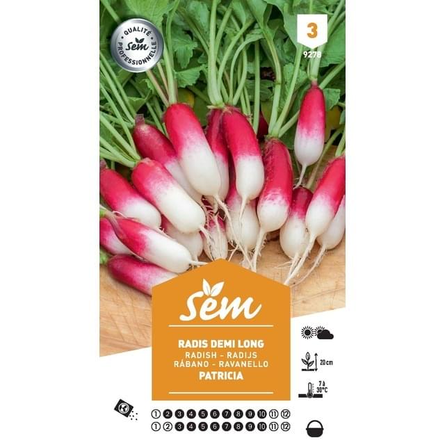 Radis demi long Patricia (sachet)