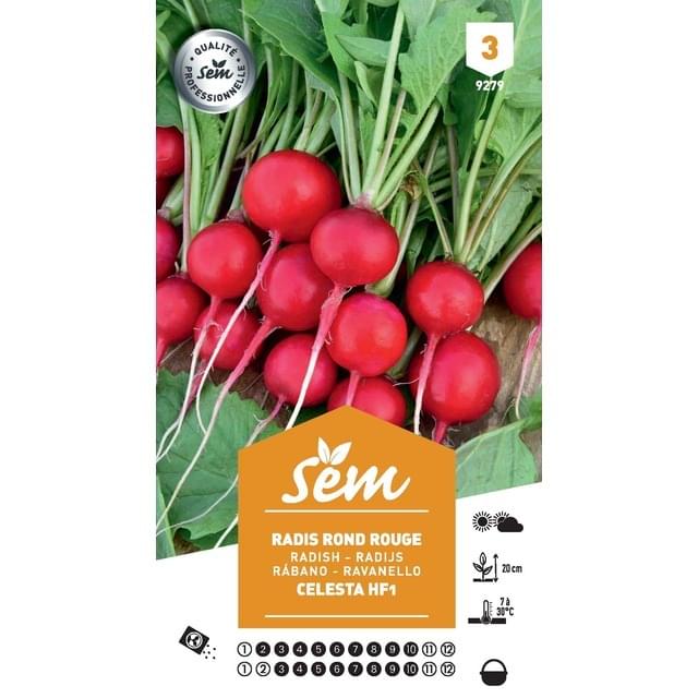 Radis rond rouge Celesta F1 (sachet)
