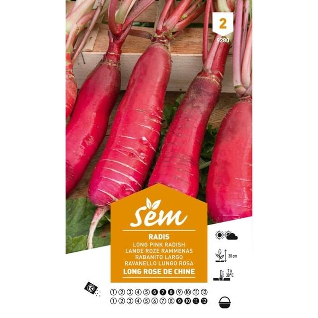Radis de Chine (sachet)