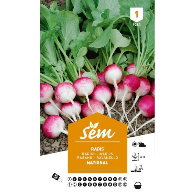 Radis National rond Rose et blanc (sachet)